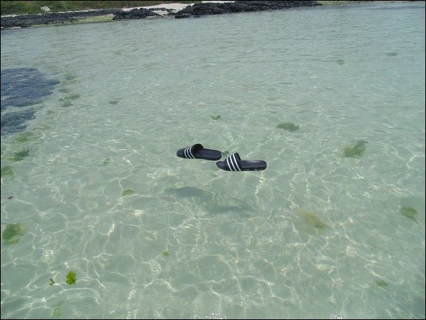 фотоприколы