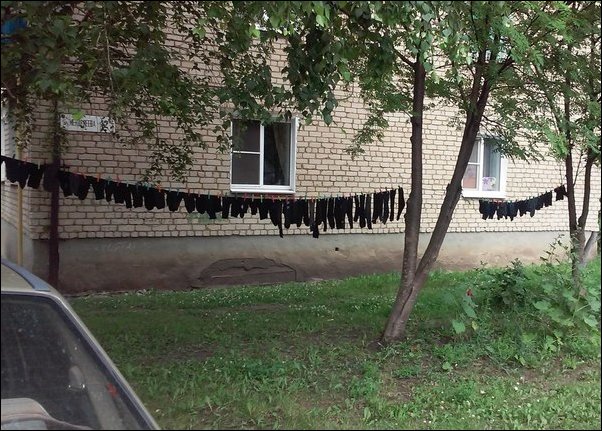 фотоприколы