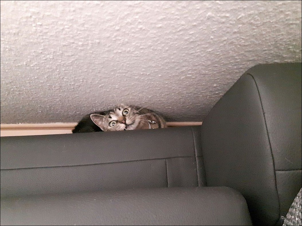 фотоприколы