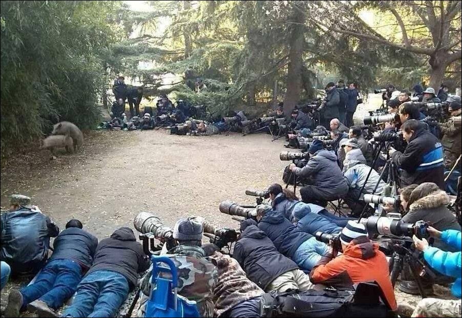 фотоприколы