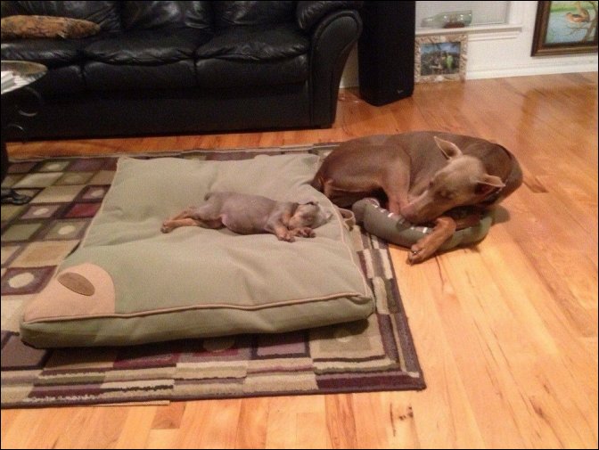 фотоприколы