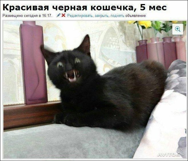 смешные комментарии