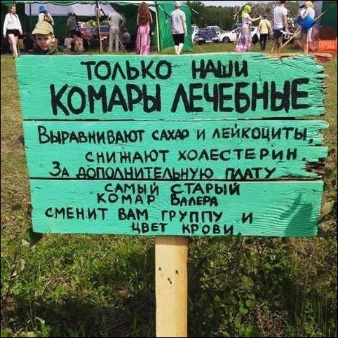 смешные надписи и объявления