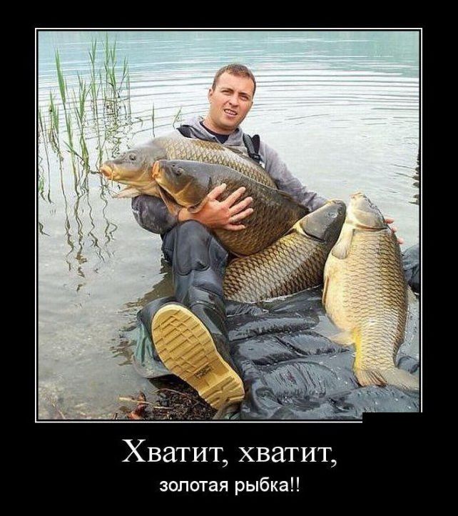 демотиватор