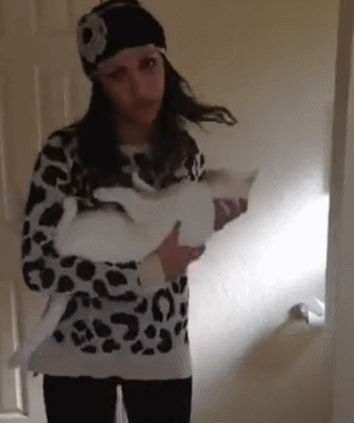 Прикольные гифки