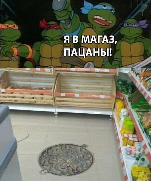 прикольные картинки