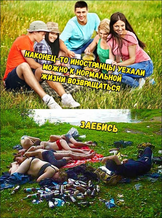 прикольные картинки