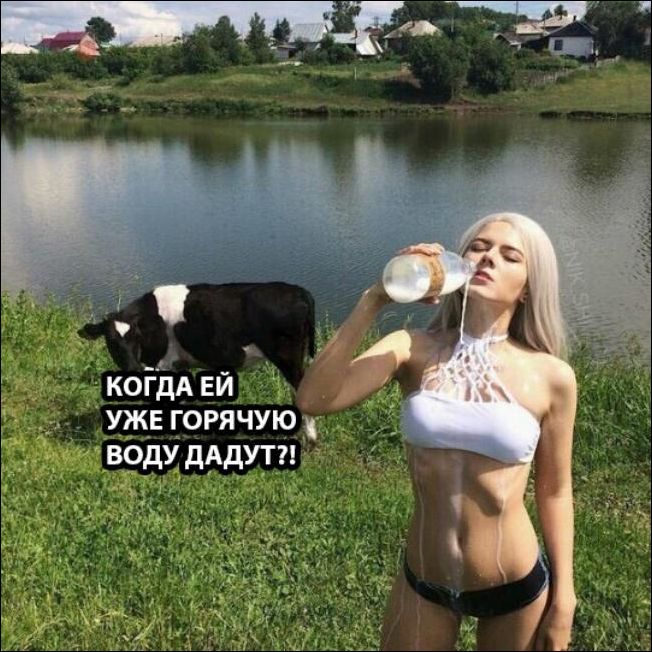 прикольные картинки