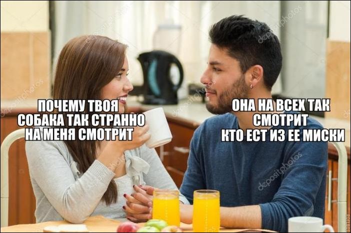 прикольные картинки