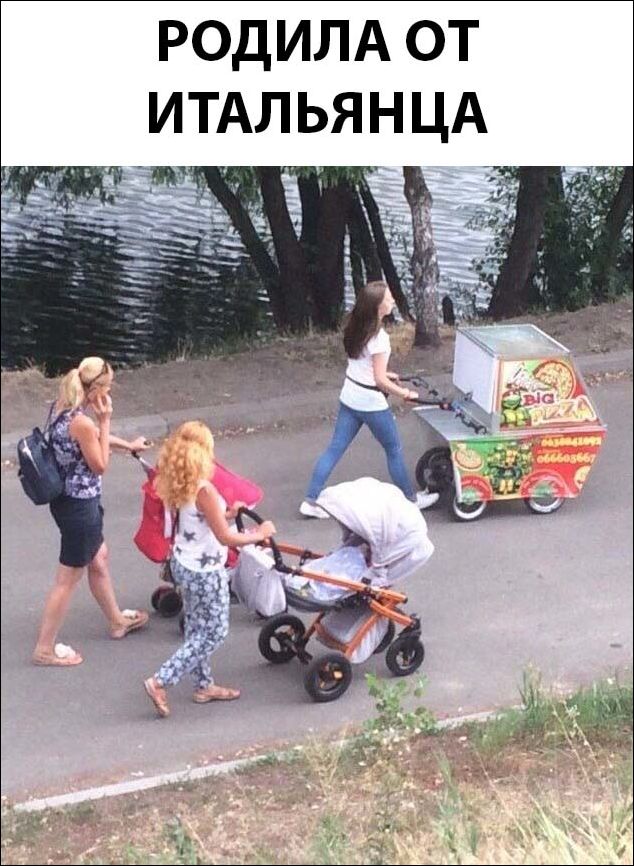 прикольные картинки