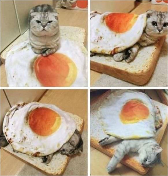 фото приколы