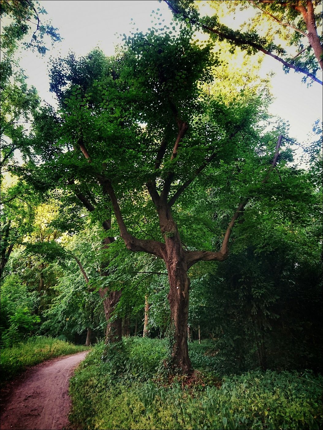 фото приколы