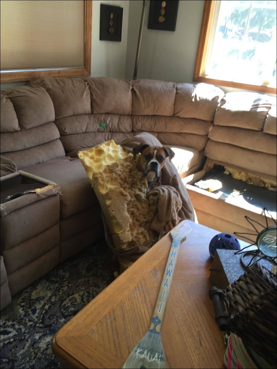 фото приколы