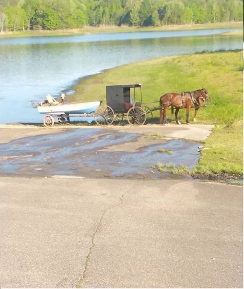 фото приколы