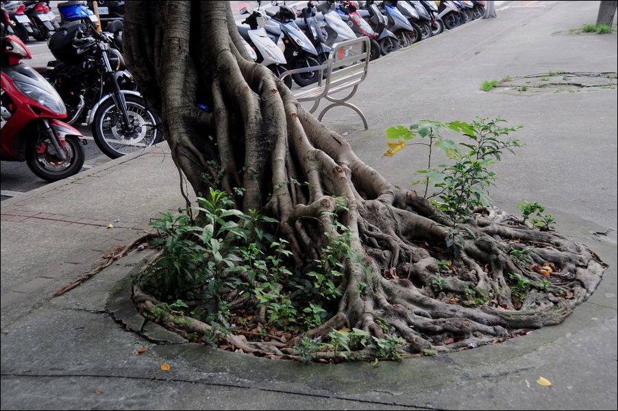 фото приколы