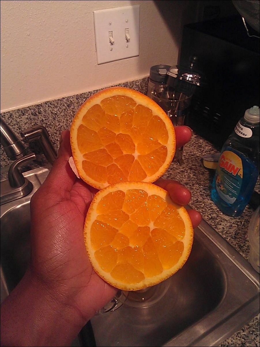 фото приколы