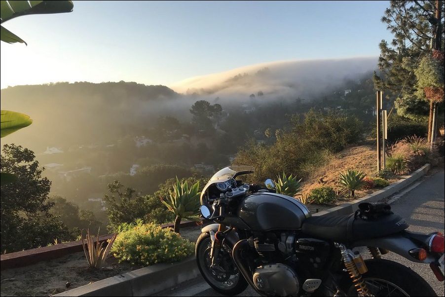 фото приколы