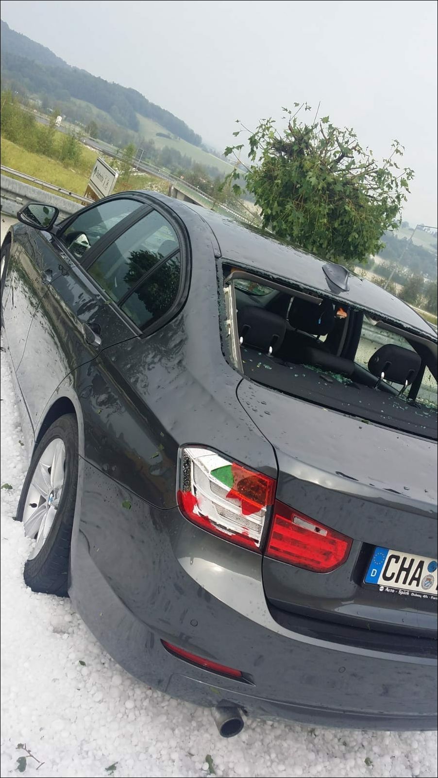 фото приколы