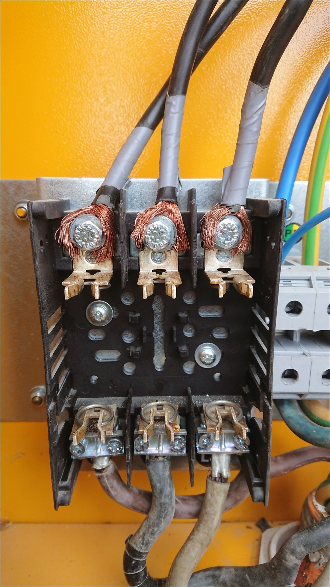 фото приколы