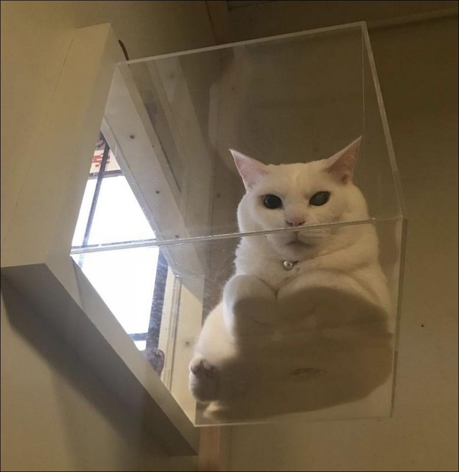 фото приколы