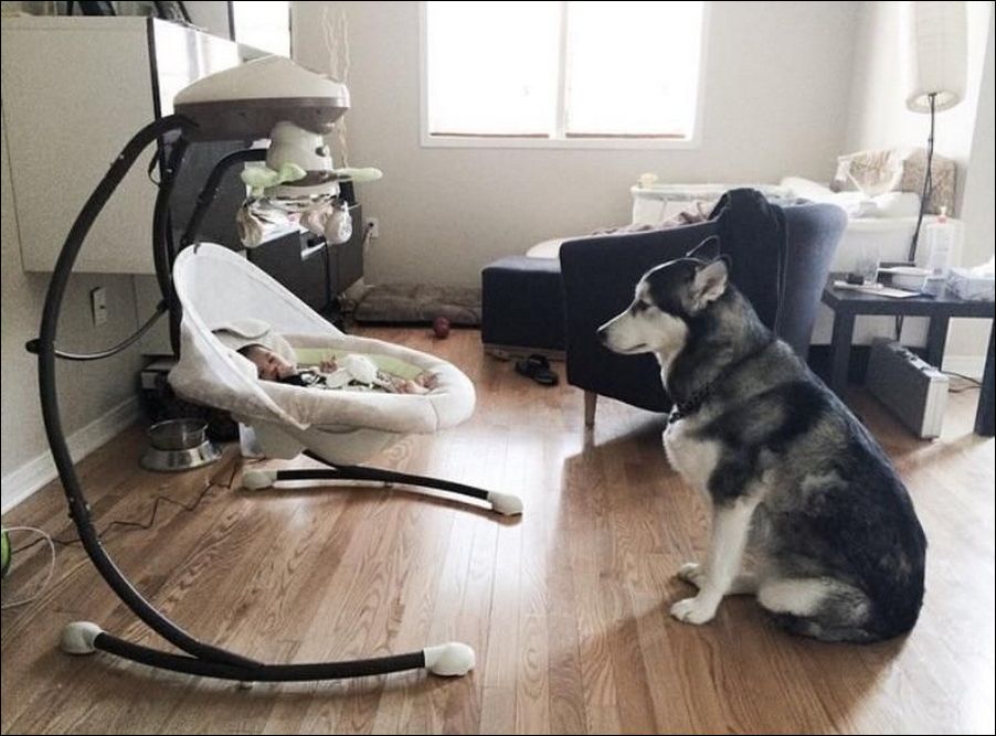 фото приколы