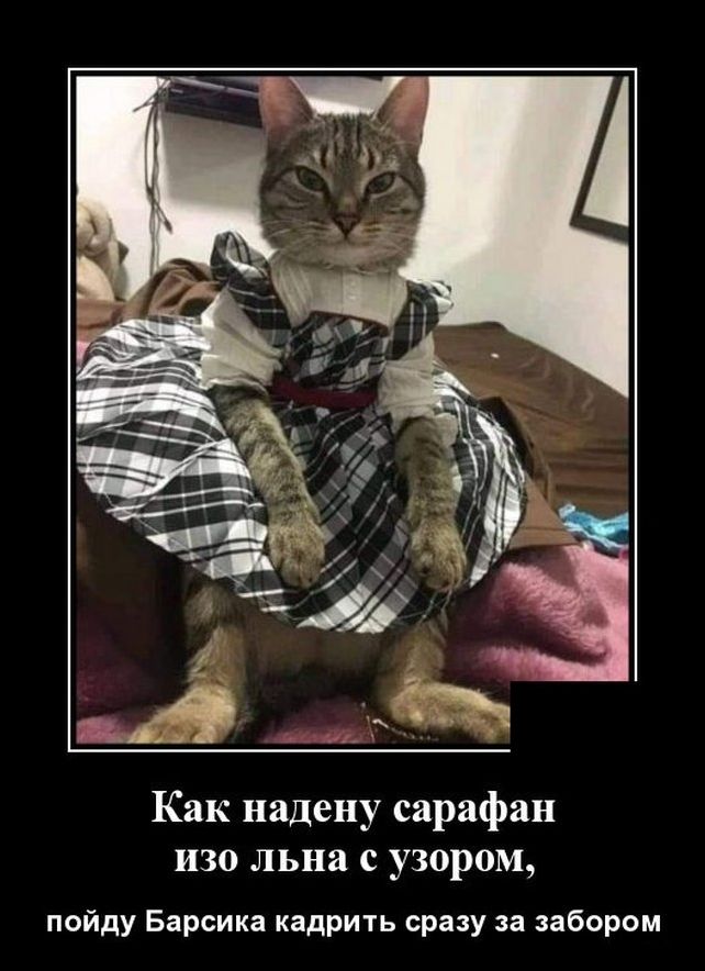 демотиватор