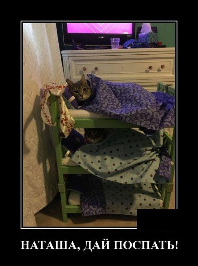 демотиватор