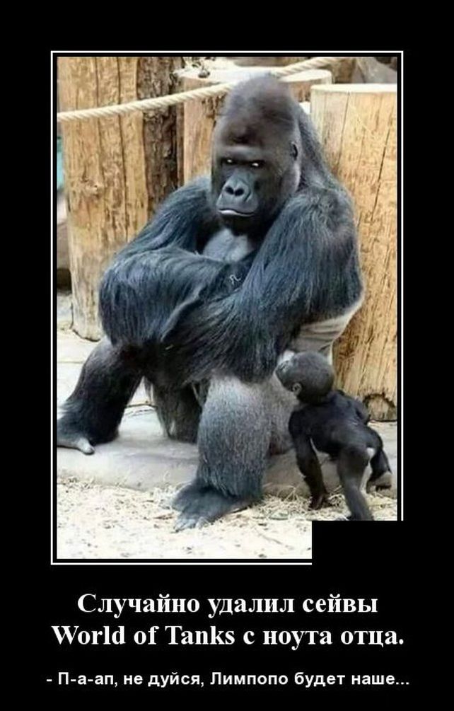 демотиватор