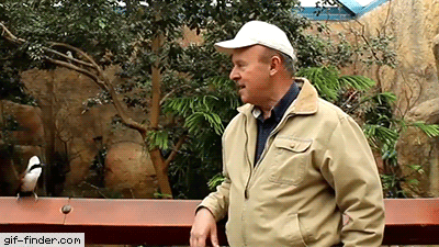 Прикольные гифки