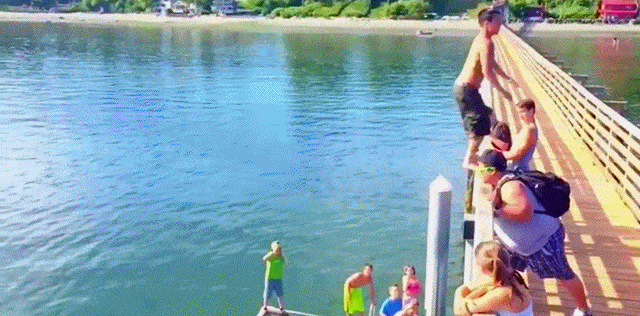 Прикольные гифки