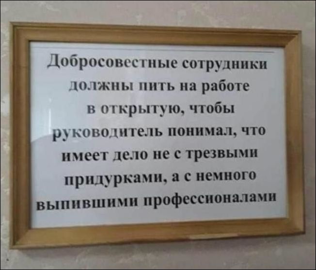 смешные надписи и объявления