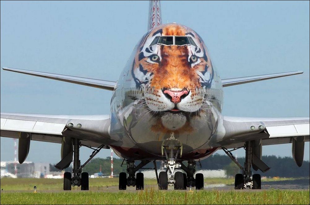 фото приколы