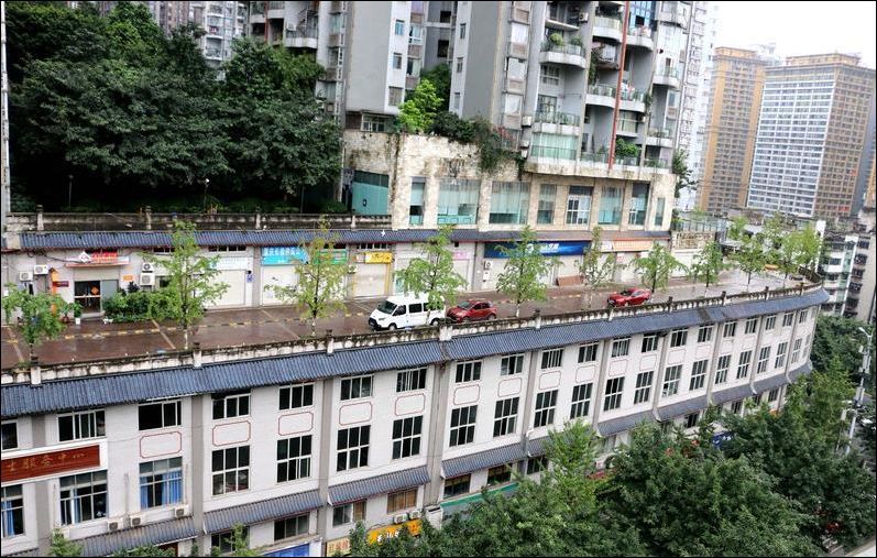 фото приколы