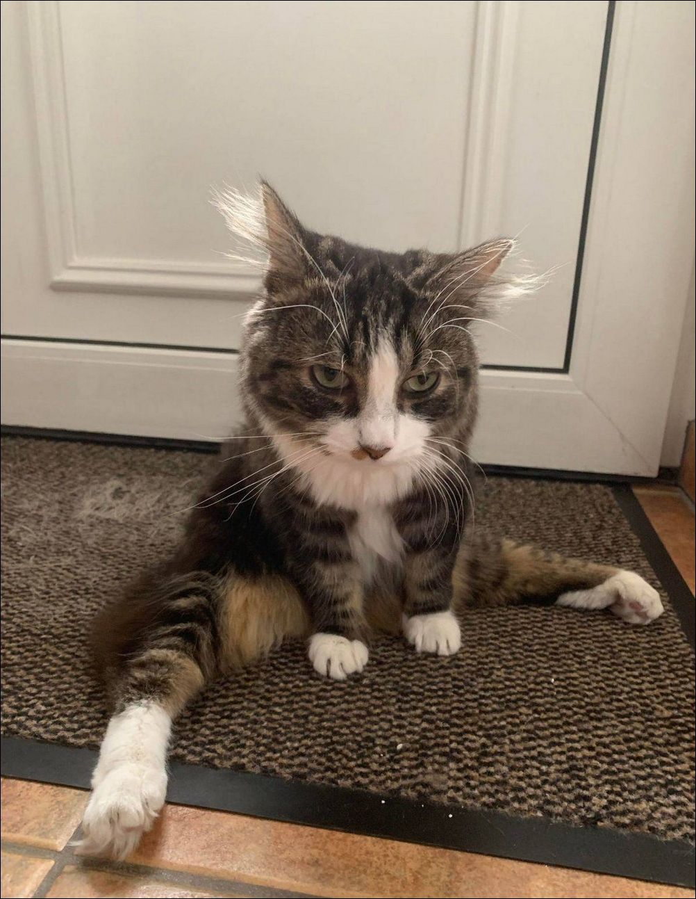 фото приколы