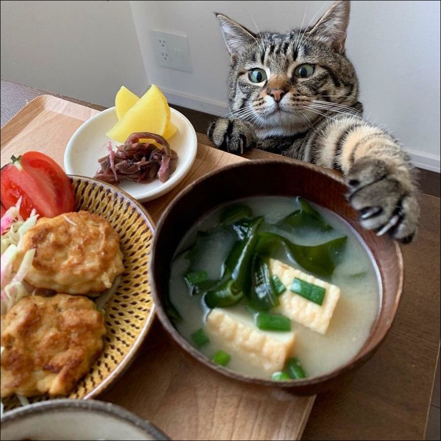 фото приколы