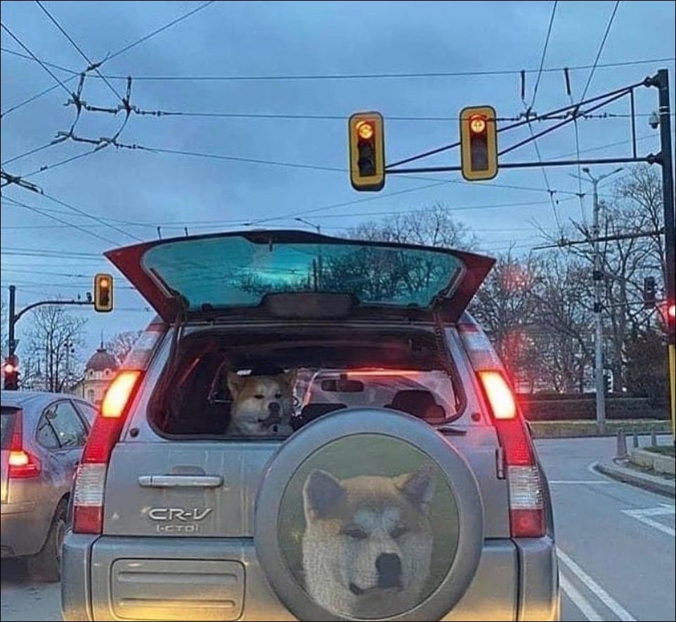 фото приколы