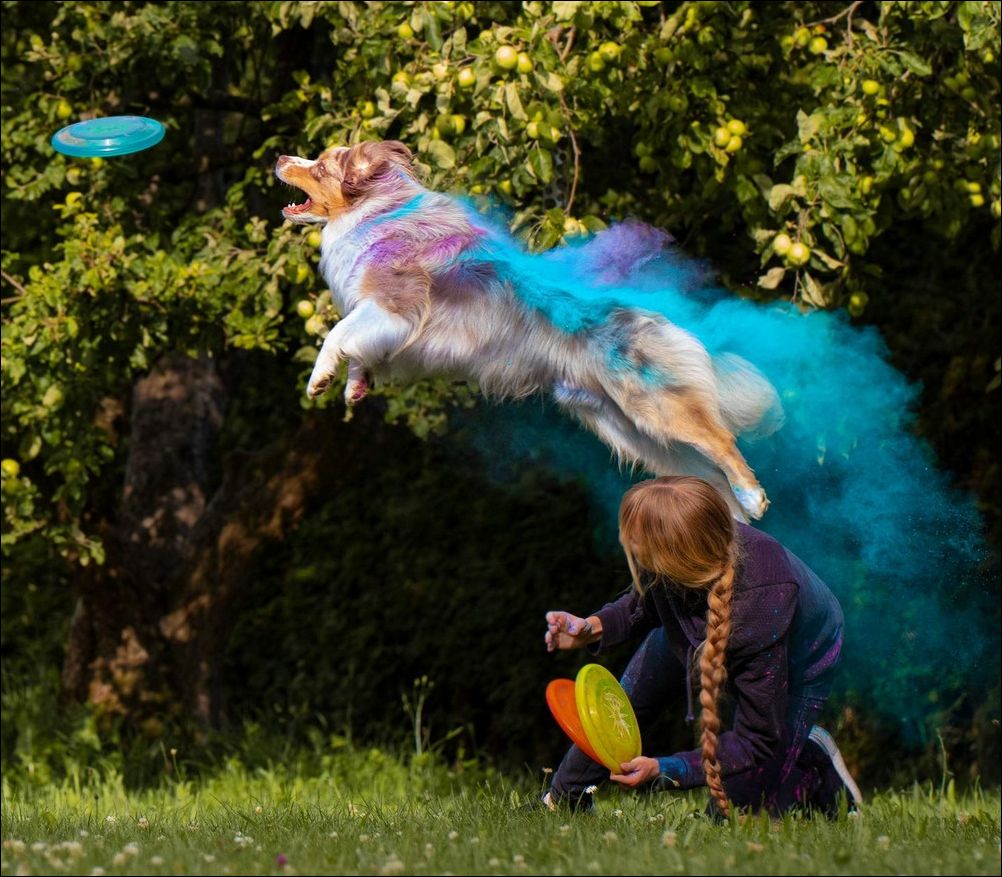 фото приколы