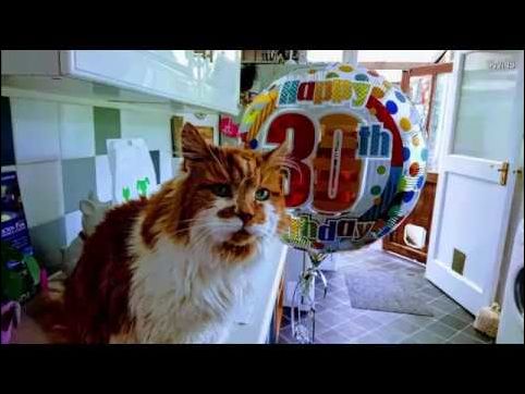 фото приколы