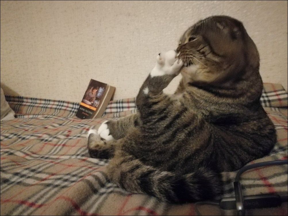 фото приколы