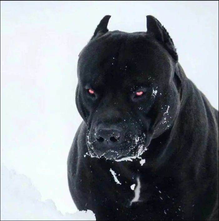 фото приколы