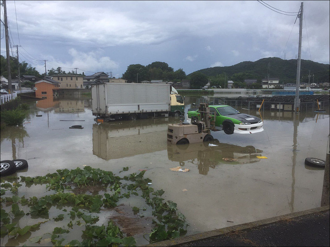 фото приколы