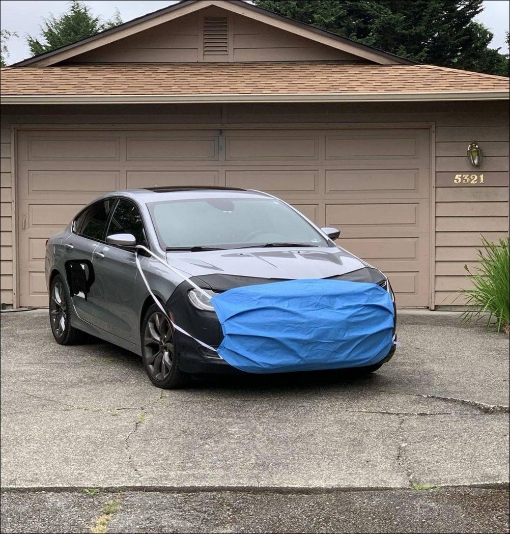 фото приколы