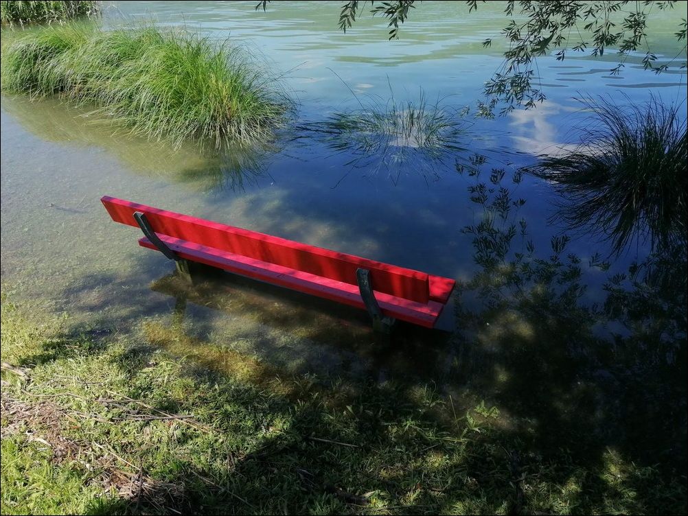 фото приколы