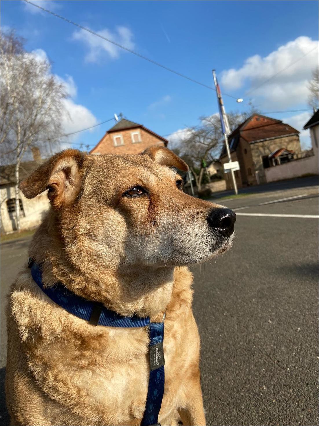 фотоприколы