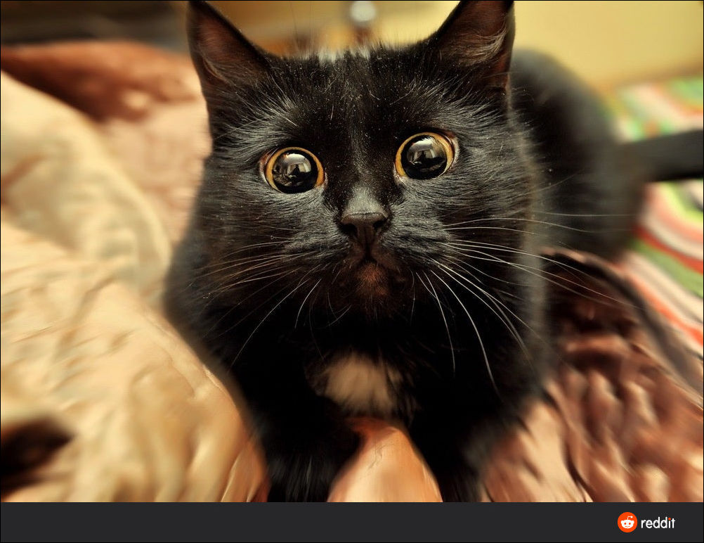 фотоприколы