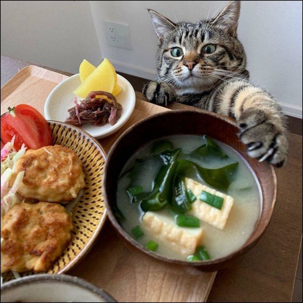 фотоприколы