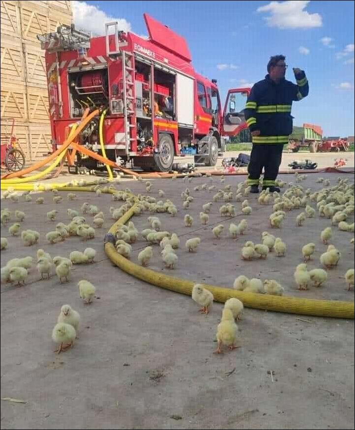 фотоприколы