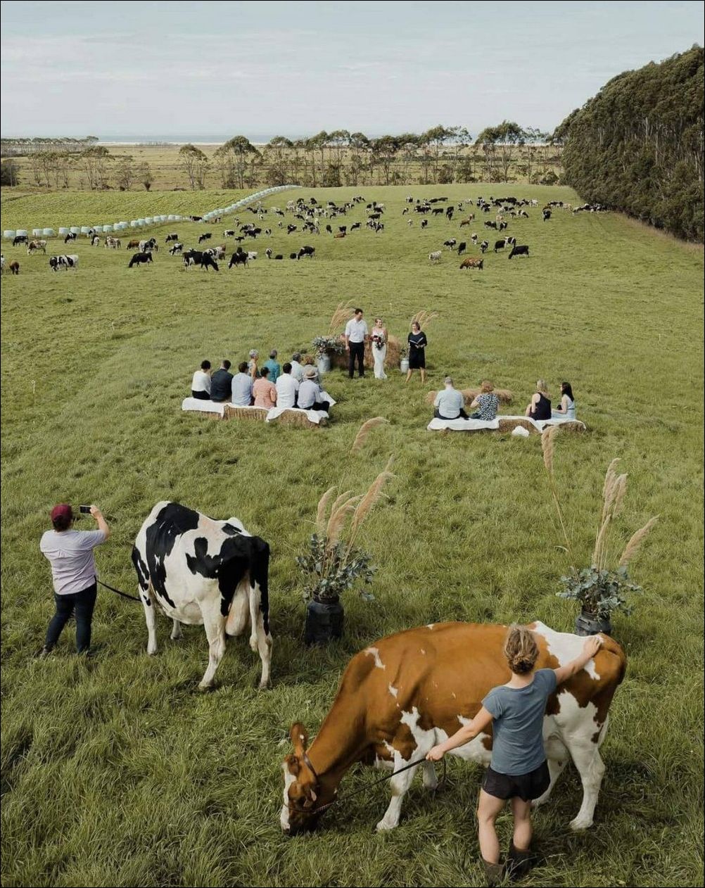 фотоприколы