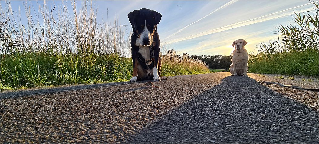 фотоприколы