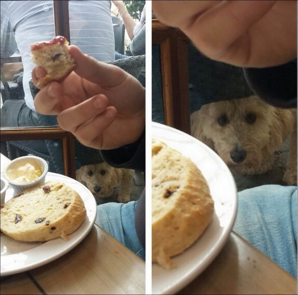 фотоприколы